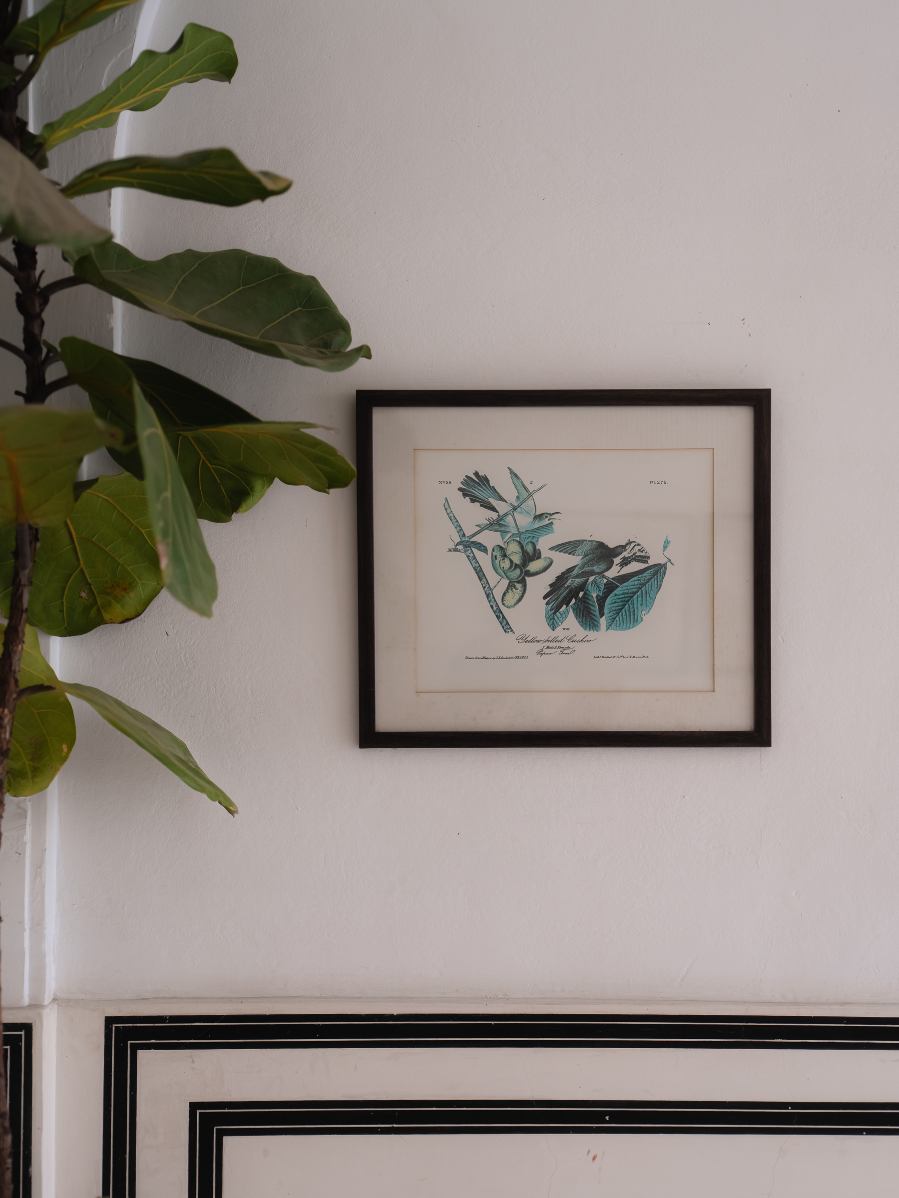 Image from Akhila Anand